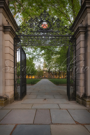 Princeton University Entrance Gate