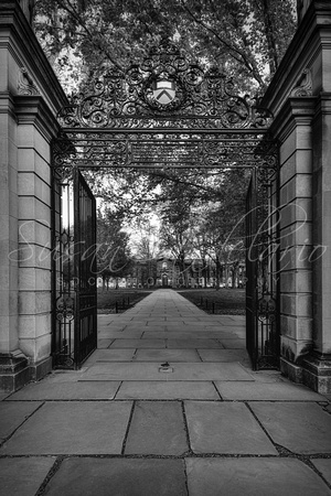 Princeton University Entrance Gate BW