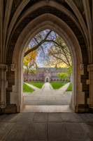 Princeton Rockefeller College