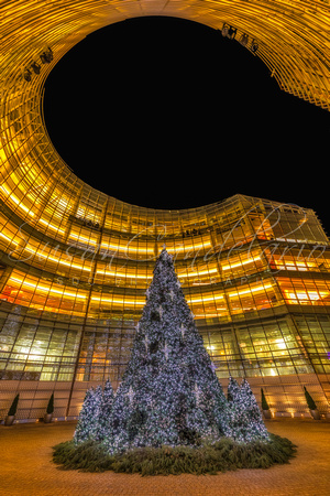 NYC Christmas Tree