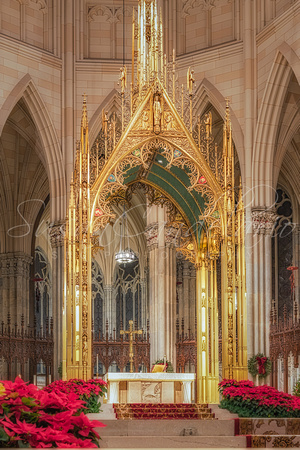 Saint Patricks Cathedral Altar