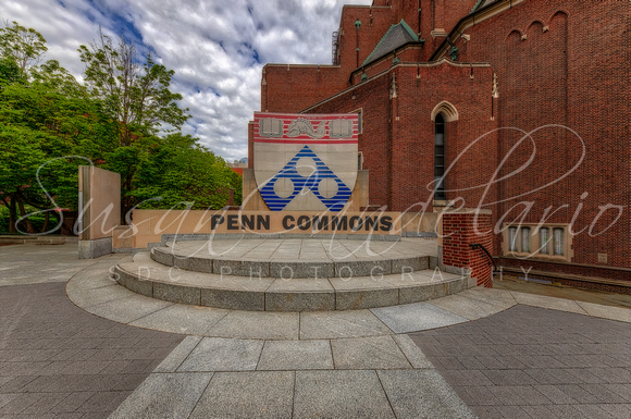 Penn Commons Shield