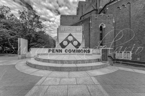 Penn Commons Shield BW