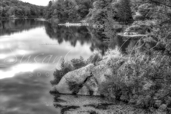 Harriman State Park In Fall BW