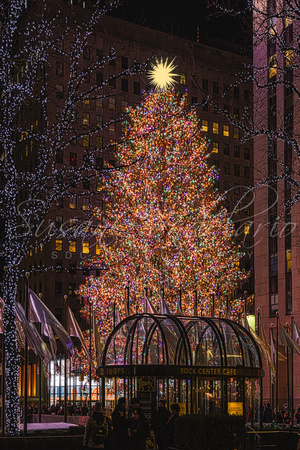 NYC Rock Center Christmas Tree