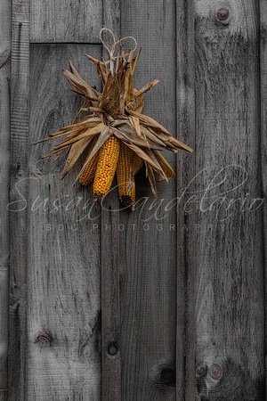 Corn Crib Wooden Door