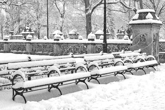 The Mall at Central Park BW