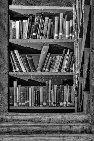 Castle Library Room Books BW