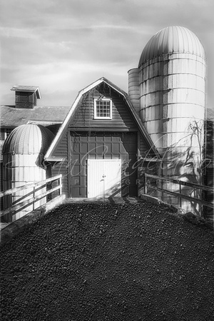 NJ Red Barn and Silo BW