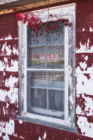 Red Barn Reflection