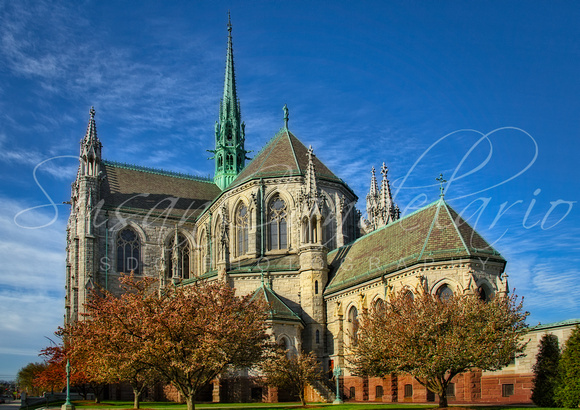 Cathedral Basilica of the Sacred Heart