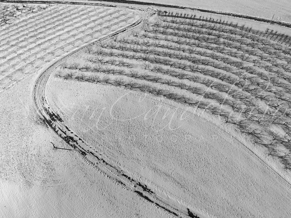 Aerial Agricultural Pattern