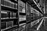 Books New York Public Library  BW