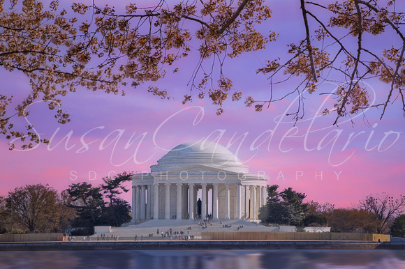 Jefferson Memorial DC