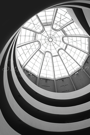 Solomon R. Guggenheim Museum II