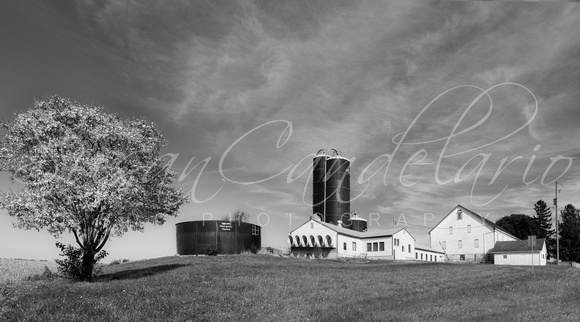 Lancaster Pennsylvania Farm