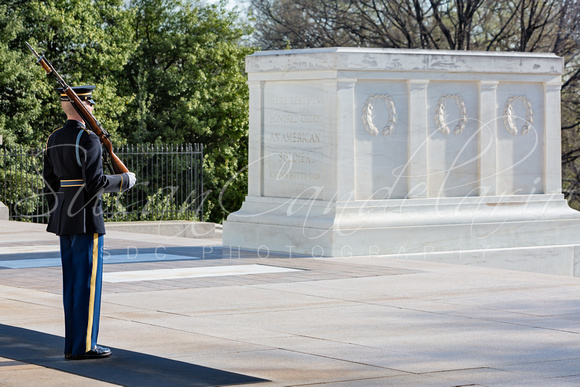 Guard At Tomb Of The Unknown Soldier