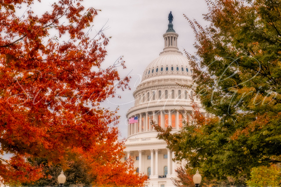 Autumn In The US Capitol