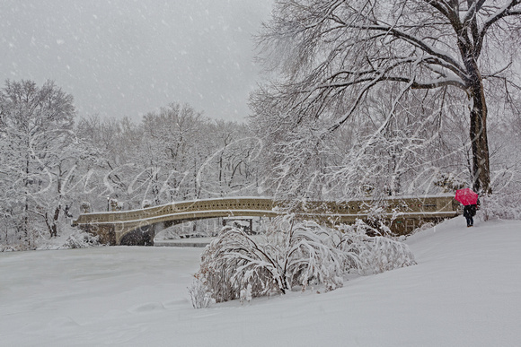 Bow Bridge In Central Park During Snowstorm