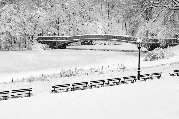 Bow Bridge Central Park Winter Wonderland BW