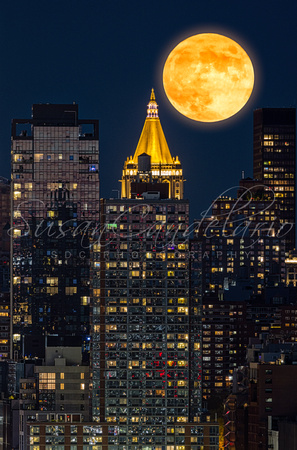 NY Life NYC Full Moon