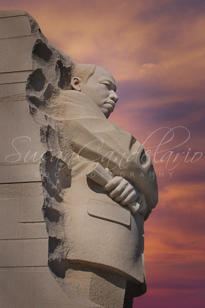Dr. Martin Luther King Jr Memorial