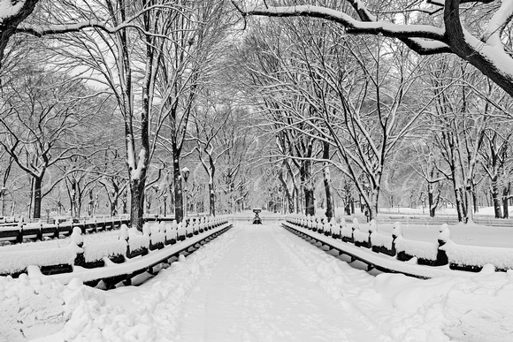 The Mall At Central Park During A Snowstorm