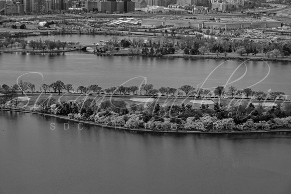 The Pentagon Aerial  BW